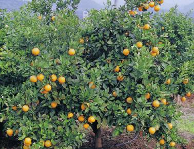 ͭˮ72-1����