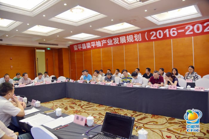 重庆梁平县梁平柚产业发展规划通过专家评审 