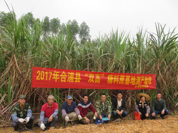 西场镇多少人口_人口普查(3)